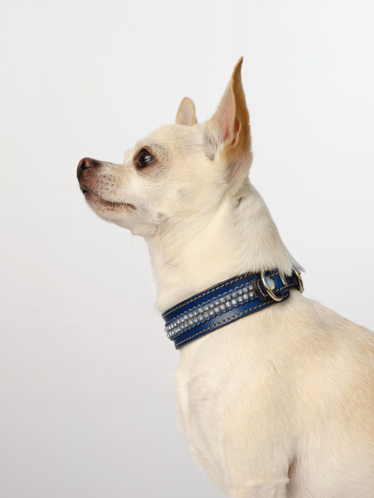 Collar para perros en cuero París Louvre