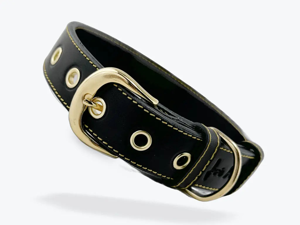 Collar para perros en cuero negro con acabados en oro envejecido.