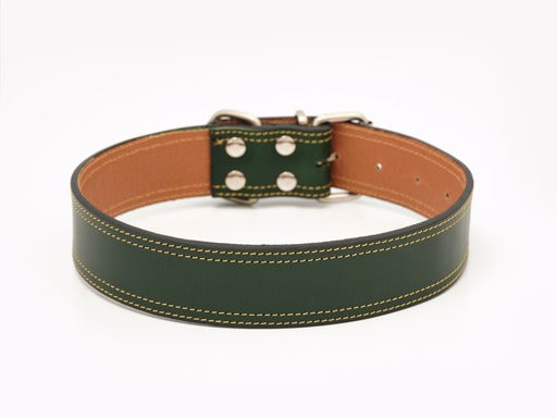 Collar para perros en cuero de vacuno Clasic Muse