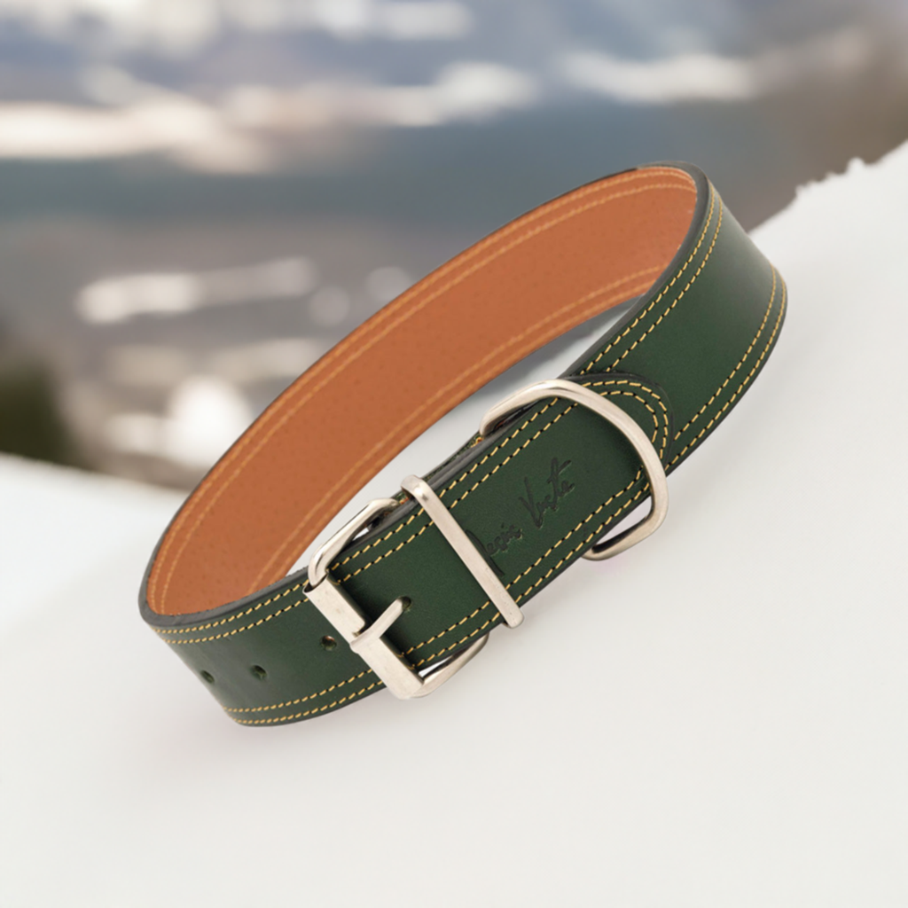 Collar para perros en cuero de vacuno Clasic Muse