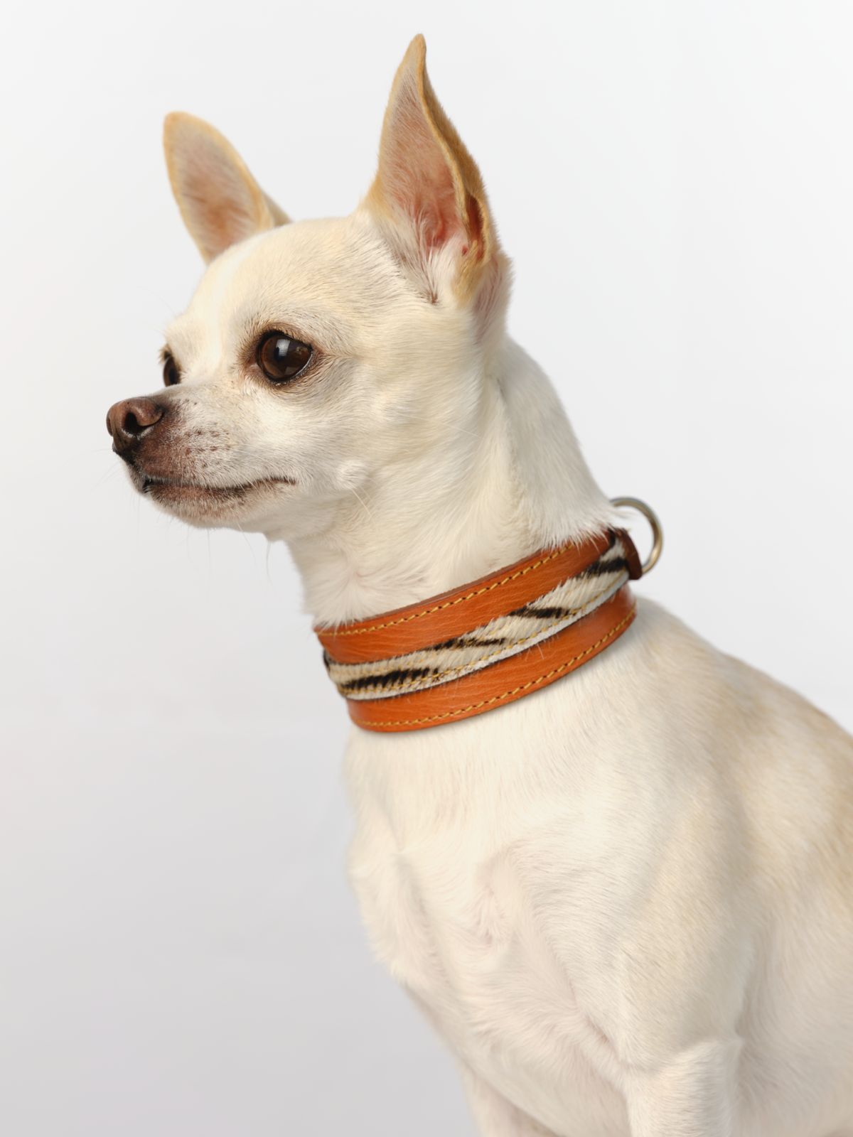 Collar para perros en cuero París Seine 