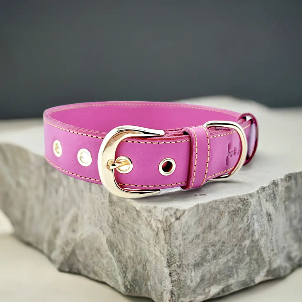 Collar de cuero para perros Colección "Chic is Pink" 