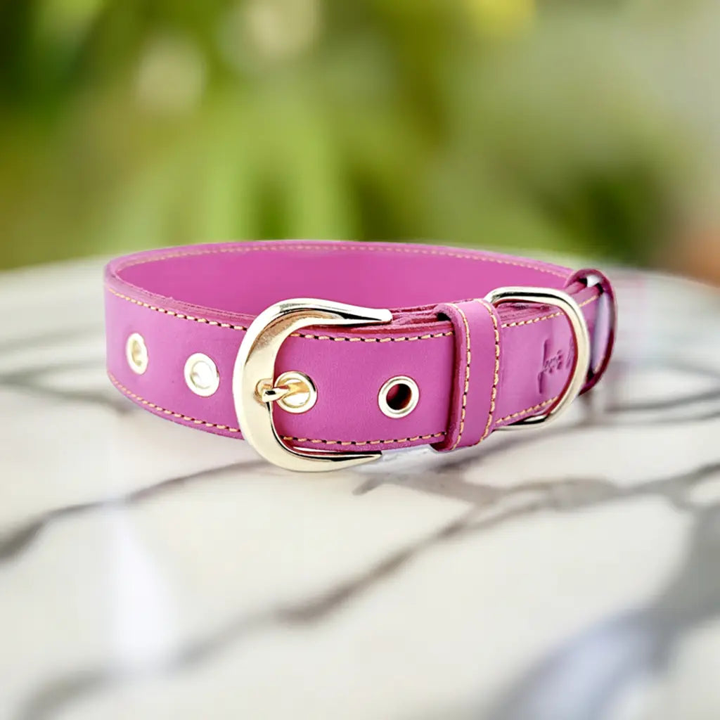 Collar de cuero para perros Colección "Chic is Pink" 