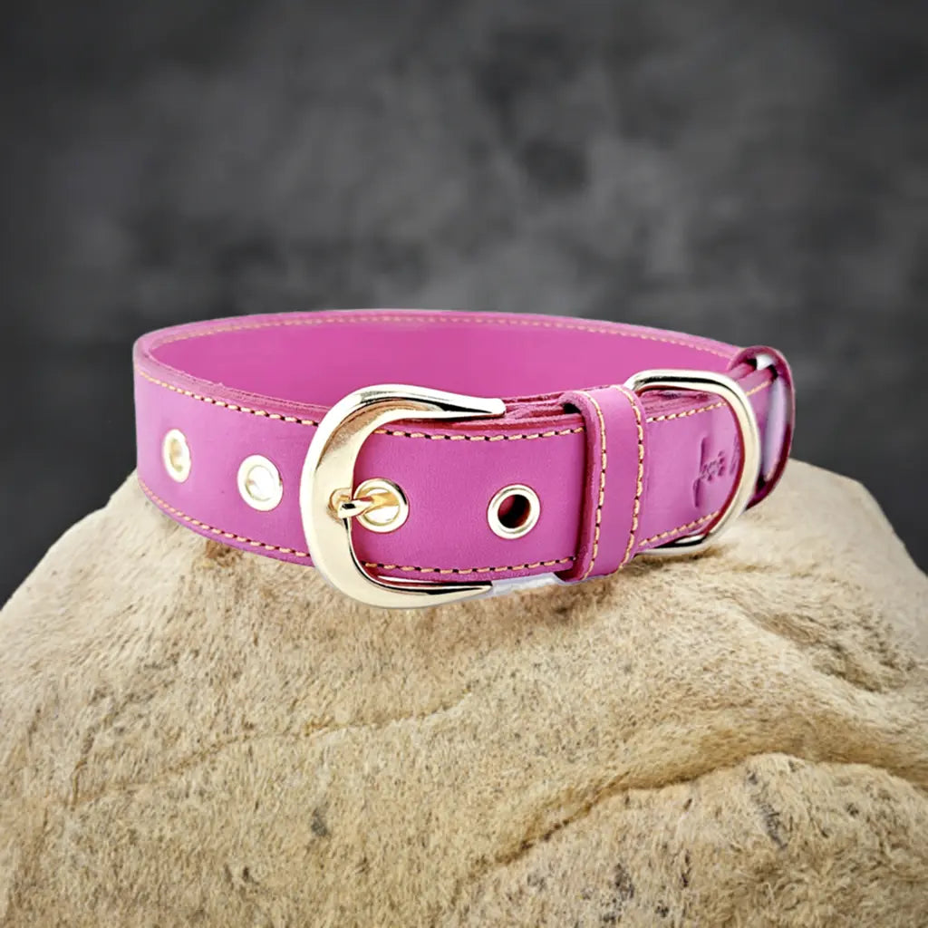 Collar de cuero para perros Colección "Chic is Pink" 