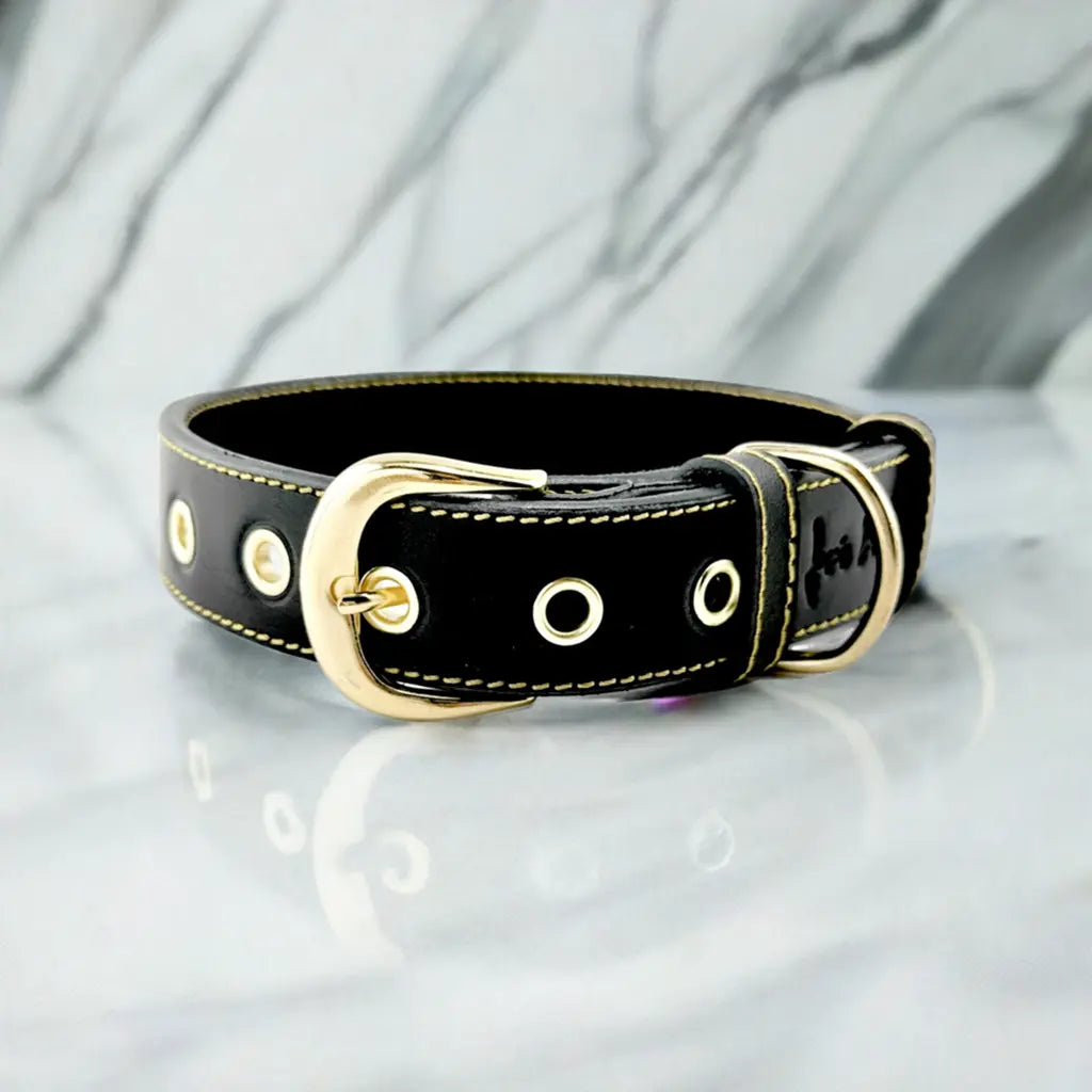 Collar para perros en cuero negro con acabados en oro envejecido. 