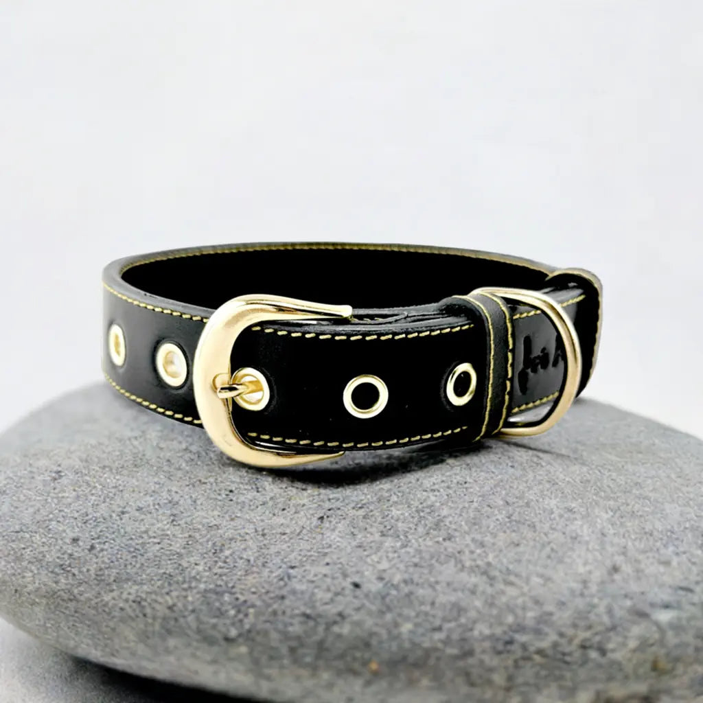 Collar para perros en cuero negro con acabados en oro envejecido. 